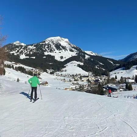 Skiblickhaus Comfortable Holiday Holiday home *